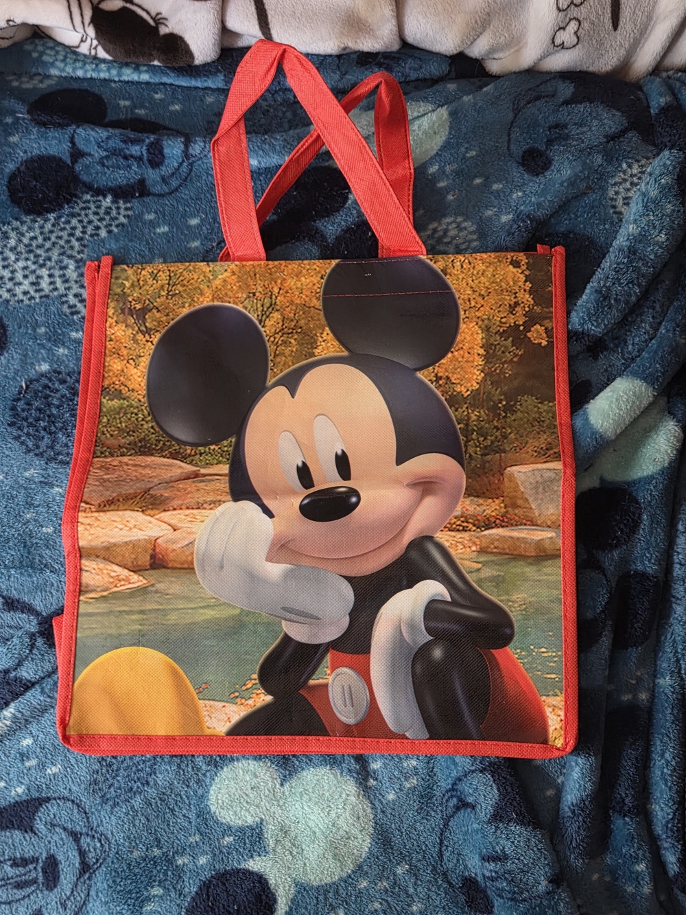 Disney Mickey Mouse Tote Bags NWT